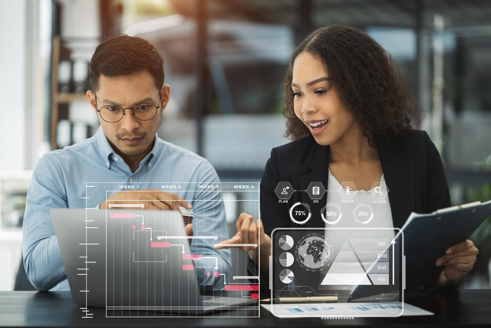 Business system consultant